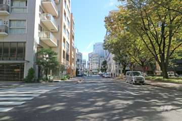 敷地南側の前面道路（西側から）