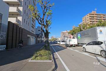 敷地東側の前面道路（南側から）