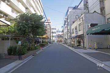 敷地南側の前面道路（西側から）