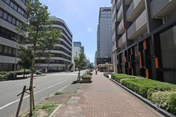 敷地南側の前面道路（東側から）