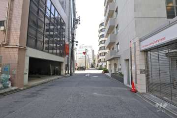敷地東側の前面道路（北側から）