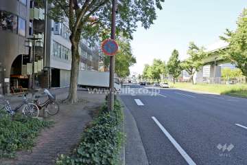 敷地北側の前面道路（東側から）