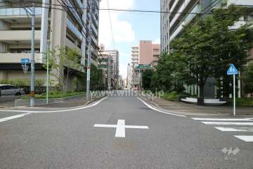 敷地の西側前面道路（南側から）