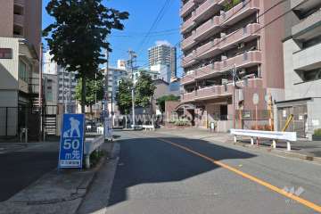 敷地南西側の前面道路（南東側から）