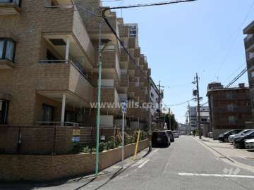 敷地西側の前面道路
