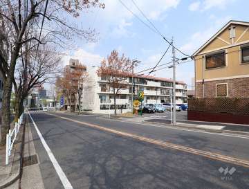 遠景(南西側から)