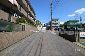 敷地南側の前面道路（西側から）