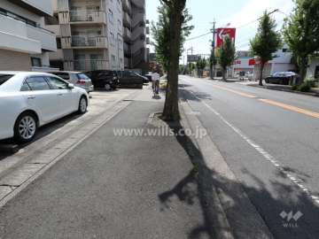 敷地北側の前面道路