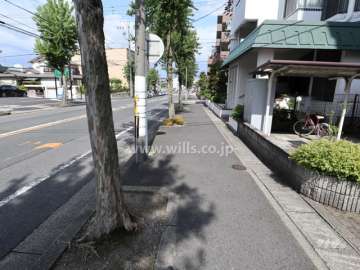敷地北側の前面道路-(2)