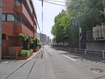 敷地南側の前面道路（西側から）