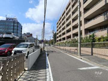 敷地南側前面道路