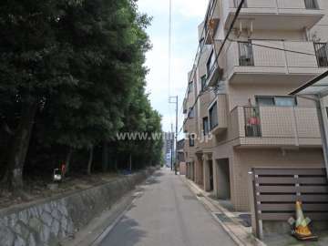 敷地東側の前面道路（北側から）