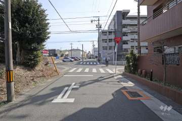 敷地東側の前面道路（北側から）