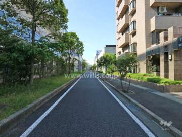 敷地の東側前面道路（北側から）