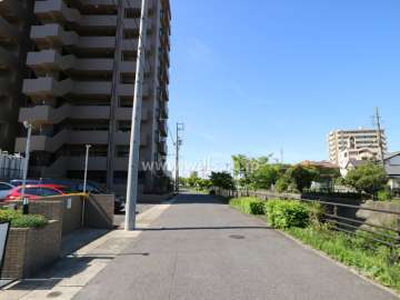 敷地の西側前面道路（北側から）
