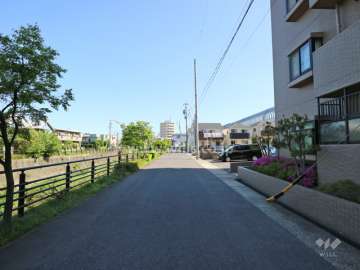 敷地の西側前面道路（南側から）