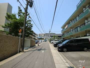 敷地の前面道路（東側から）