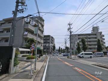 敷地西側の前面道路（北側から）