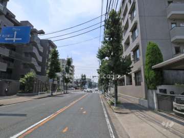 敷地南側の前面道路（東側から）