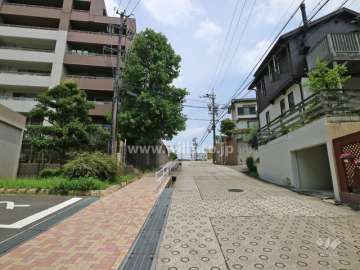 敷地南東側の前面道路（南西側から）