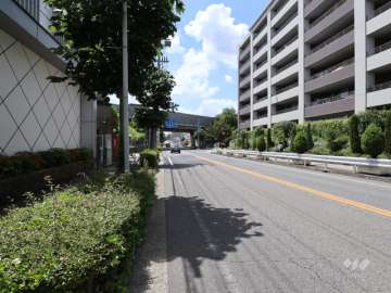 敷地の南側前面道路（東側から）