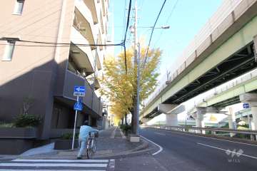 敷地北側の前面道路。幹線道路に面しています。