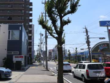 敷地北側の前面道路(出来町通)