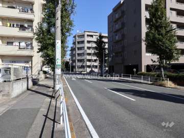 敷地西側前面道路