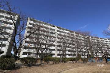 藤の木団地6号棟の外観（南側から）