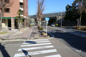 敷地東側の前面道路