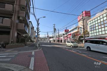 敷地南側の前面道路（西側から）