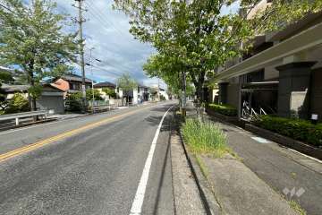 敷地北側の前面道路(西側から)