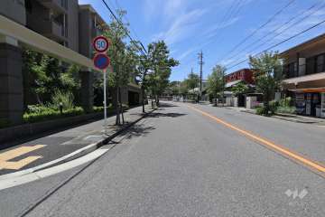 敷地北側の前面道路