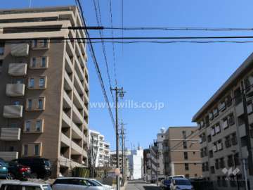 藤が丘シティハウスエアリーコートの前面道路