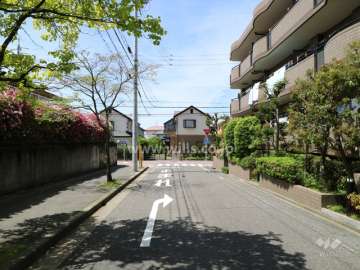 敷地の南側前面道路（東側から）