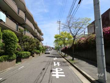 敷地の南側前面道路（西側から）