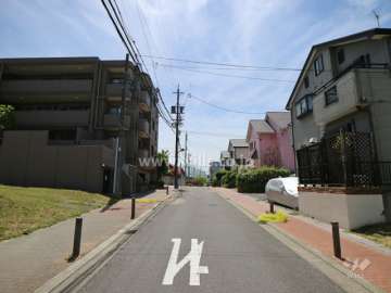 敷地の西側前面道路（北側から）