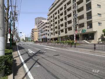 敷地南側の前面道路（東側から）