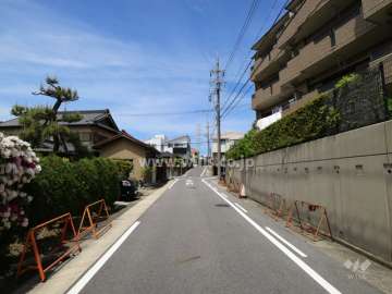 敷地の西側前面道路（南側から）