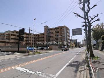 敷地西側の前面道路（北側から）