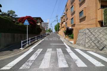 敷地西側前の西側前面道路（南側から）