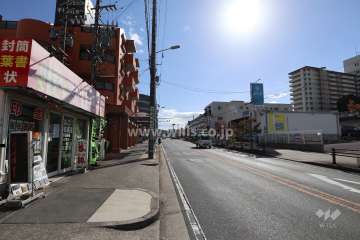 物件の西側前面道路（北側から）