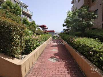 敷地内通路（植栽が多く緑豊かです。）