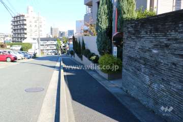 敷地西側前面道路