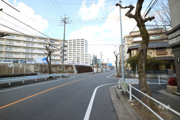 敷地の西側前面道路（南側から）