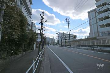 敷地の西側前面道路（北側から）