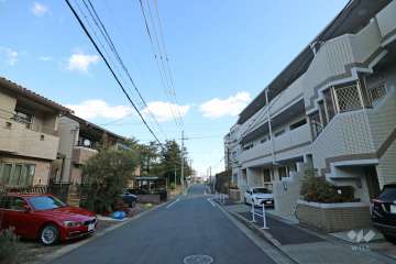 敷地の北側前面道路（西側から）