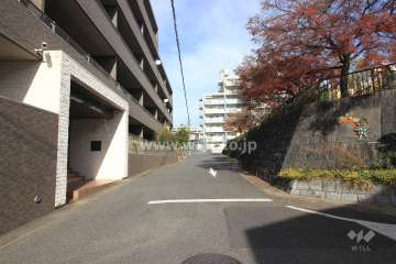 敷地東側の前面道路。目の前に公園があります。