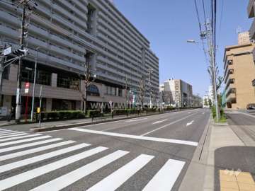 敷地北側の前面道路。県道217号線です。
