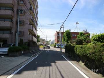 敷地の西側前面道路（北側から）
